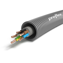 FLEX 1234001065 PREFLEX XVB 5G4 D25 R50