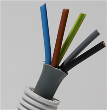 FLEX FIGIBELX5G6 FLEX XVB CCA 5G6 D25 R100