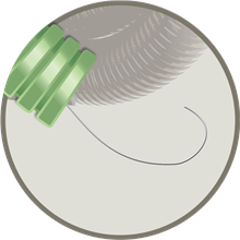 FLEX HFD25 GREEN FLEX + FE 1MM D25 R50