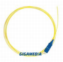 GIGAMEDIA S3MPC2M GGM PIGT.SC OS2 2M