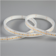 INTEGRATECH LS-PER100IP6730DF STRIP PERFORMANCE 1000LM/M IP6