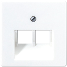 JUNG A569-2BFPLUAWW AFDEKK IAE/UAE-AANSLUITDS WT