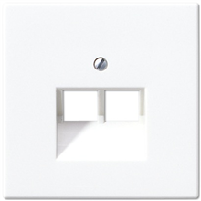 JUNG LS969-2UAWW AFD IAE/UAEAANSLTDS ALPINWT