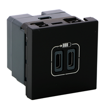LEGRAND 079190L MOSAIC 2XUSB LADER TYPE C