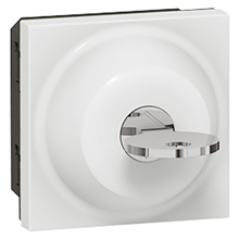 LEGRAND 77072 MOSAIC SLEUTELSCH 2 STANDEN