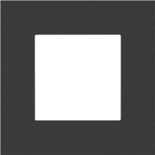 NIKO 224-76100 ENKELVOUDIGE AFDEKPLAAT