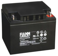 REXEL SECURITY FG24204 LOODBATTERIJ 42AH 12V
