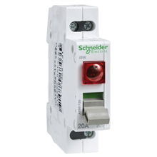 SCHNEIDER ELECTRIC A9S61220 ISW 2P 20A SIGNAALLAMP ROOD