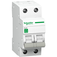SCHNEIDER ELECTRIC R9S64263 R9 SCHEIDER-SCHAKELAAR 2P 63A