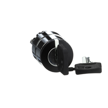 SCHNEIDER ELECTRIC ZB4BG2 KOP SLEUTELSCH 455 2ST L VAST