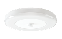 SG LIGHTING 143091 ETNE 3000K PIR