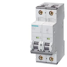 SIEMENS 5SY4206-8 AUT LS 63 2P 6A D 10KA