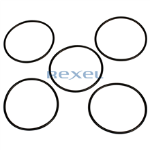 WASCO 20077919 O-RING SIFON 5ST