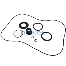 WASCO REC-3299060 SET 1 VOOR DE