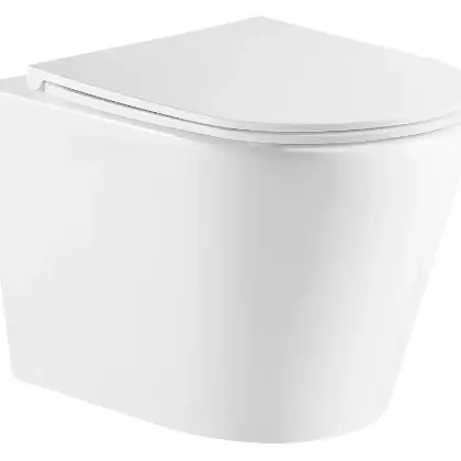 1724564 Brio hangtoilet PACK (hangtoilet + zitting) 360 x 520 mm - zonder spoelrand - softclose - quick release - wit