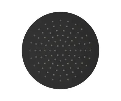 1952209 Vivo hoofddouche 250 mm - zwart mat