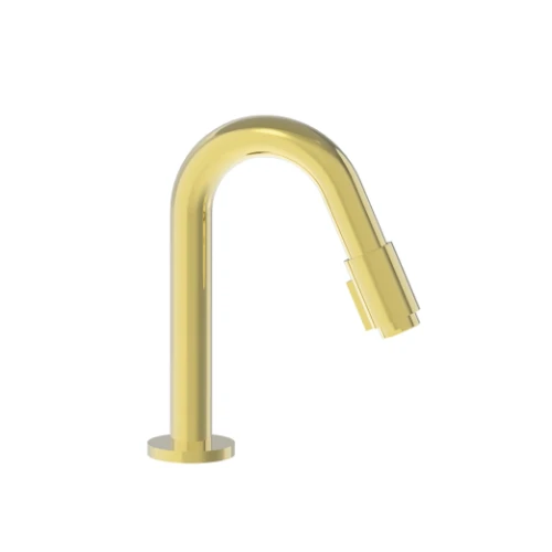 Vivo koudwaterkraan - uitloop 190 mm - Brushed Gold PVD - goud mat PVD 1960663