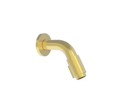 1960666 Vivo koudwaterkraan 110 mm - wandmodel - Brushed Gold PVD - goud mat PVD