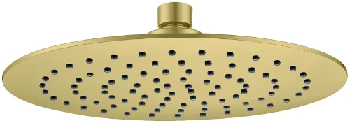 1965009 Rondo WSS 1.0 hoofddouche rond 230 mm - brushed gold PVD