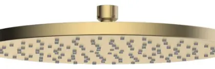 2035368 Vivo hoofddouche rond 300 x 17 mm - Brushed Gold PVD - goud mat PVD