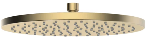 2035368 Vivo hoofddouche rond 300 x 17 mm - Brushed Gold PVD - goud mat PVD