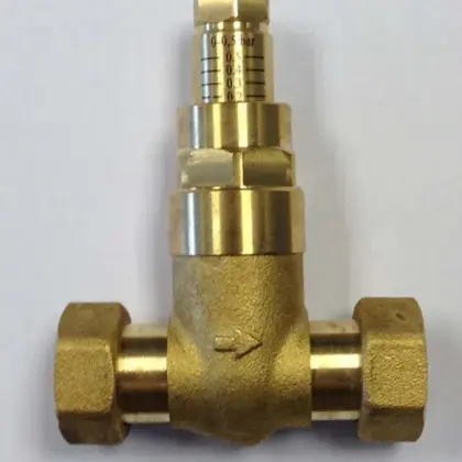 ACV By-pass kit acv 10800225