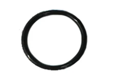 ACV O-ring 19X2 acv 91875827