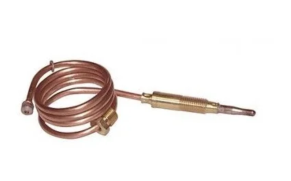 ACV Thermokoppel acv delta G..BF 600mm acv (ex 53439089) 53439097