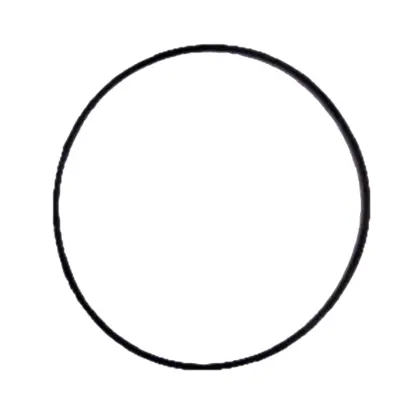 ACV O-ring 95x2 silicoon acv 786608