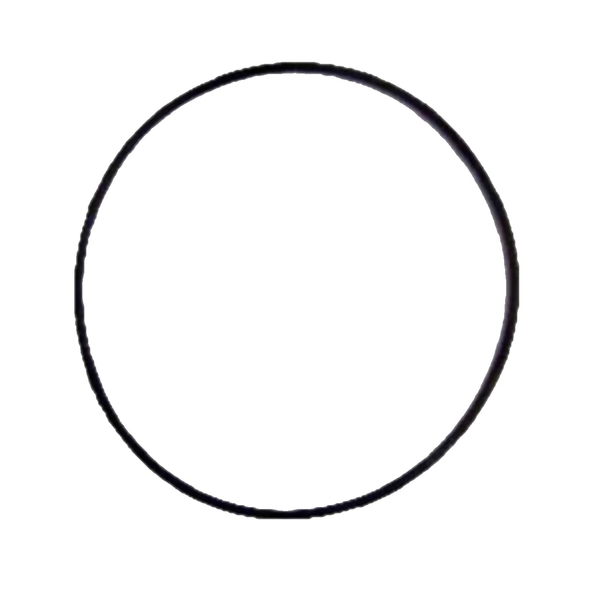 ACV O-ring 95x2 silicoon acv 786608