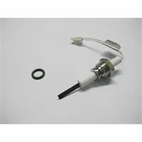 Atag Elektrode ontsteking 100 V elco 6500916700
