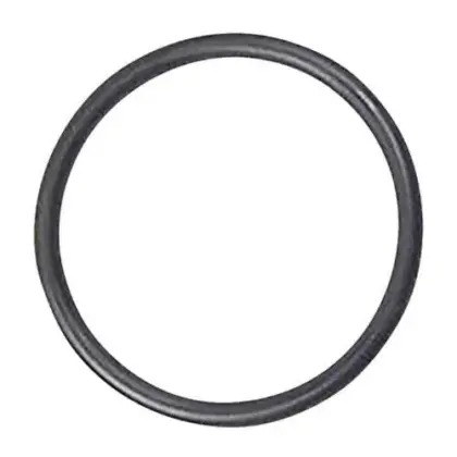 Atag O- ring voor syfon condensbak atag 87309900