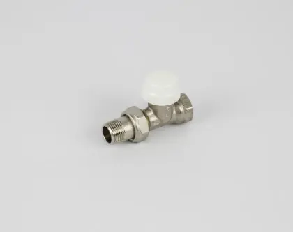 Begetube 120040026 Begetube thermostatiseerbare rechte radiatorkraan 1/2 x 1/2