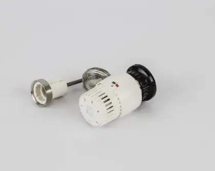 Begetube 180022200 Begetube thermostaatkop type 3000 - wit - met afstandsbediening (opbouw) - capillair 2 meter