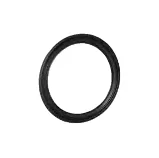 Begetube Profi-Air Classic O-ring d: 63 mm begetube 010271063