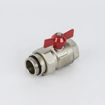 Begetube Vlinderkraan met volle doorlaat DN 1" FM Begetube 271449030