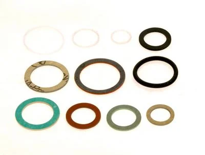 Bosch Set afdichting Bosch 8737701665