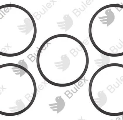 Bulex BULEX 0020048259 O-RING POMP SANITAIR Bulex 0020048259
