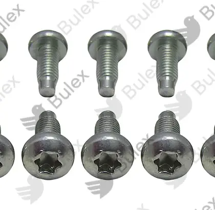 Bulex BULEX 0020195526 SCHROEF ( 10 stuks) Bulex 0020195526