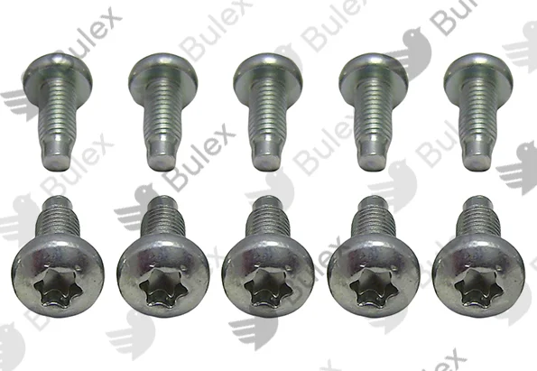 Bulex BULEX 0020195526 SCHROEF ( 10 stuks) Bulex 0020195526