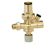 Caleffi Vulcombinatie 1/2 Caleffi 553040