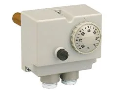 Caleffi Dubbele dompelthermostaat 100grC Caleffi 623000
