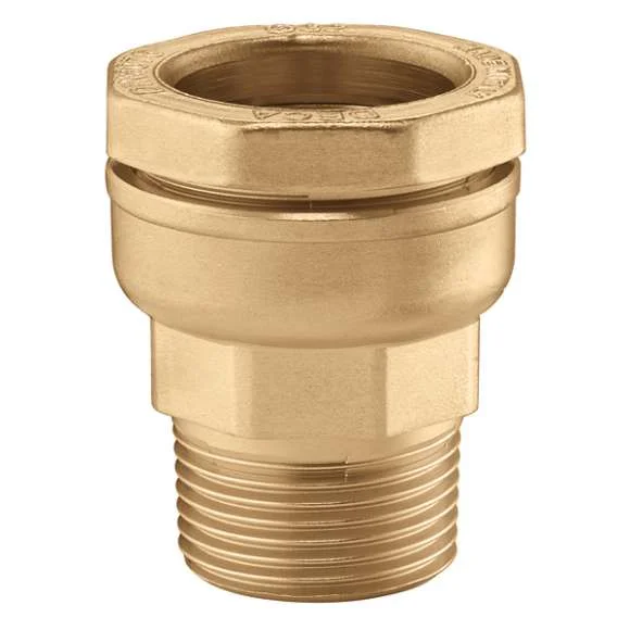 Caleffi Knelovergangsstuk messing 50mm x 6/4" M (drink)water Caleffi Deca 861 861850