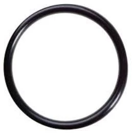 Cintropur FWZCONW250 Cintropur WSS O-ring voor filterklok voor NW18-NW25-NW32-SL160-SL240