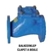 DAB Balkeerklep 2 gietijzer draad 149B3205 DAB 050091142