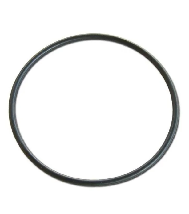 DAB O-ring DAB R00005306