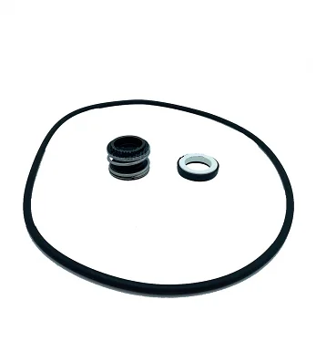 DAB Mechanische afdichting Euroswim 300 T DAB R00010388