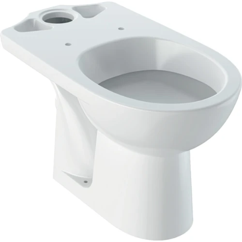 Geberit Selnova staand toilet uitgang PK - wit - diepspoel (zonder spoelreservoir) 500.282.01.5