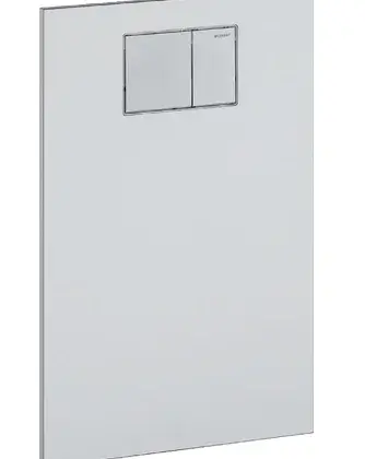 Geberit Duwplaat Geberit AquaClean tweeknops kunststof wit glanzend 115.322.11.1
