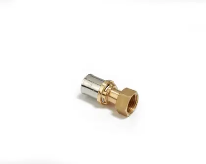 Giacomini RM179SP pers 2-delige koppeling met losse moer vlak dichtend FF 50 x 6/4 F RM179Y093